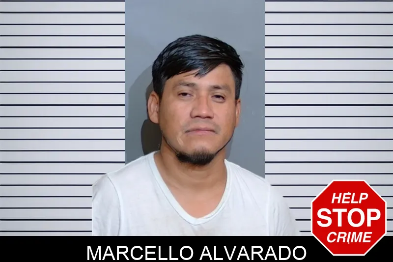 Marcello Alvarado