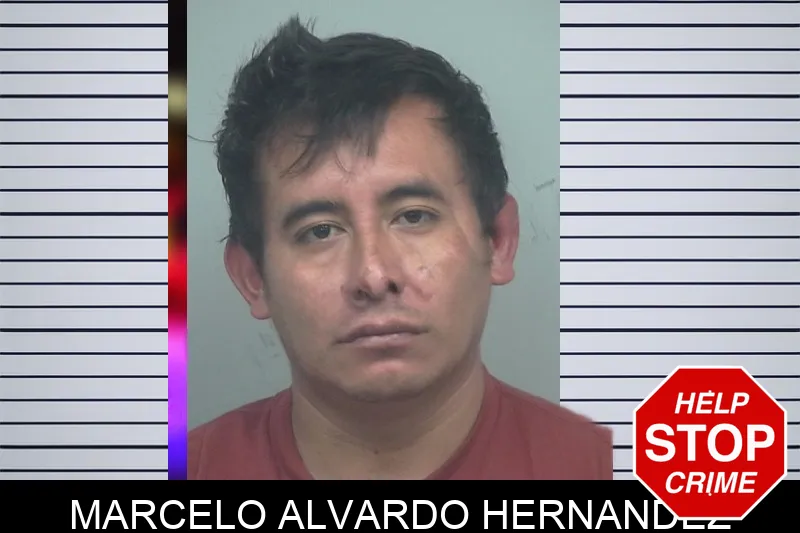 Marcelo Alvardo Hernandez Mugshots