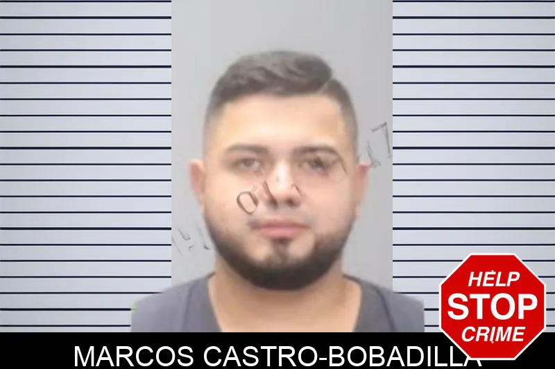 Marcos Castro-Bobadilla