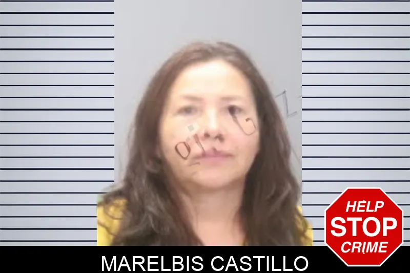 Marelbis Castillo Mugshots