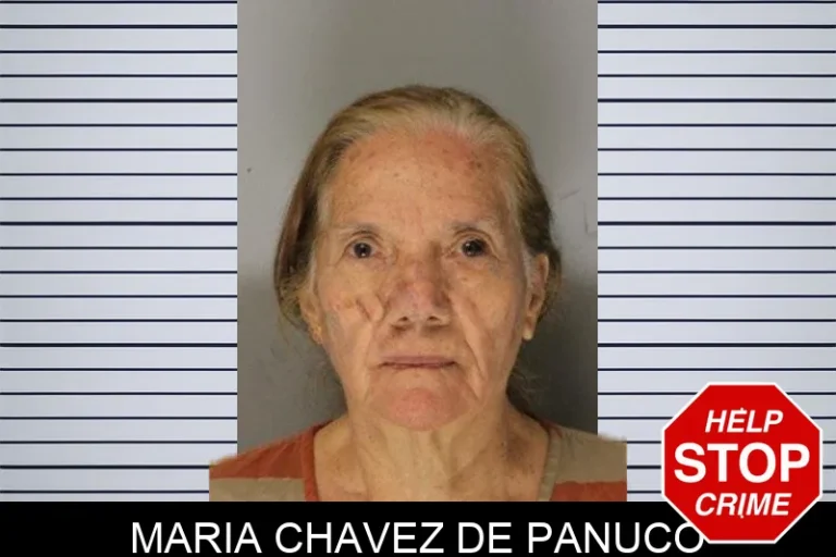 Maria Chavez De Panuco