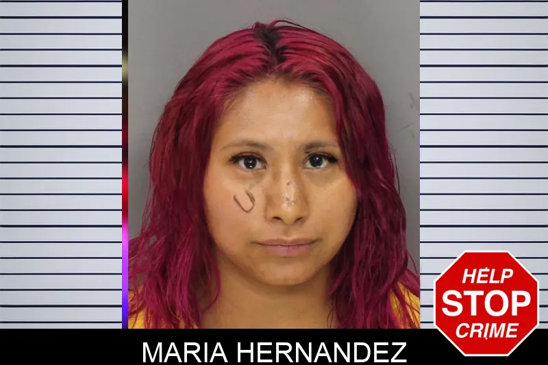 Maria Hernandez mugshot