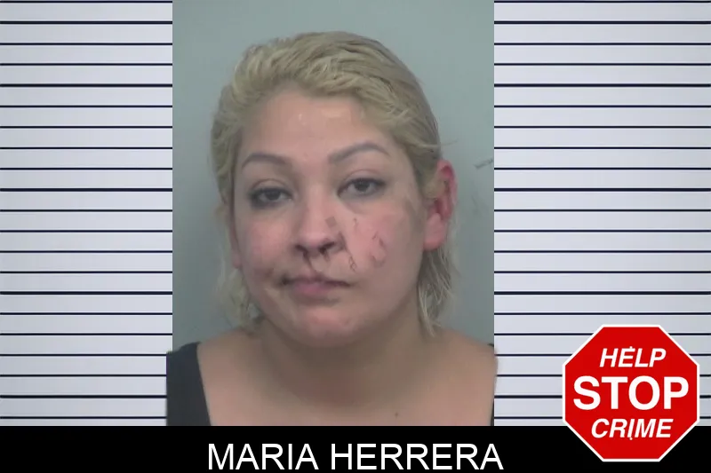 Maria Herrera mugshot