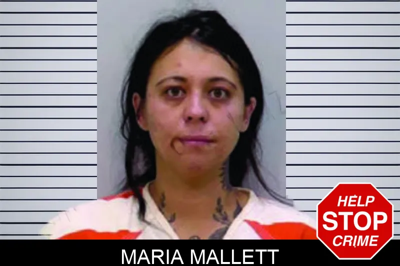 Maria Mallett mugshot – Bartow County , Georgia Maria Mallett mugshot
