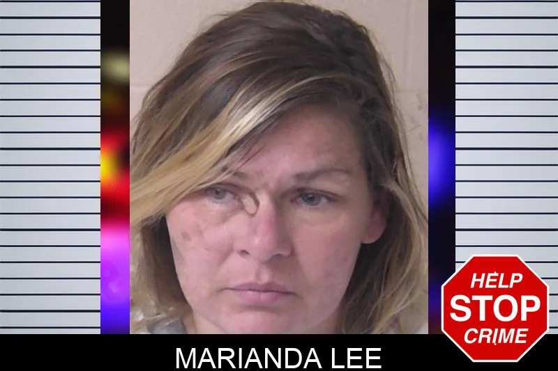 Marianda Lee Mugshots