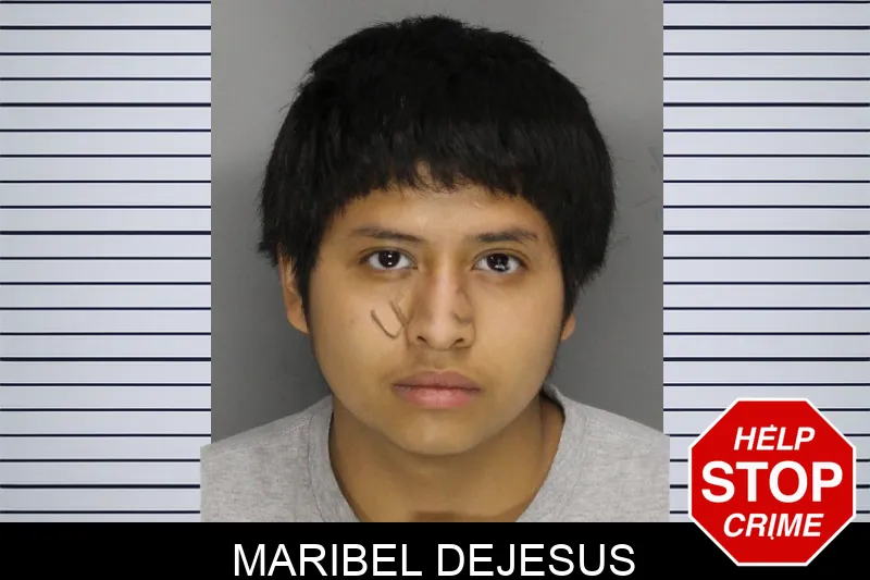 Maribel Dejesus mugshot