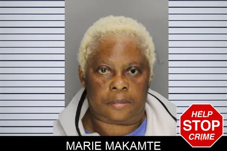 Marie Makamte mugshot – Cobb County , Georgia Marie Makamte