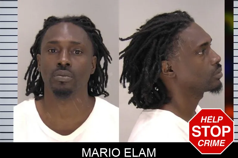 Mario Elam mugshot