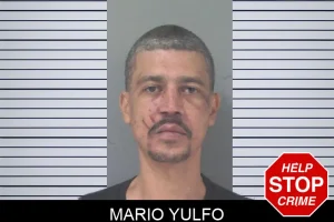 Mario Yulfo mugshot