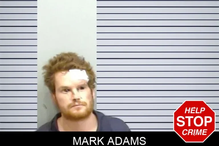 Mark Adams