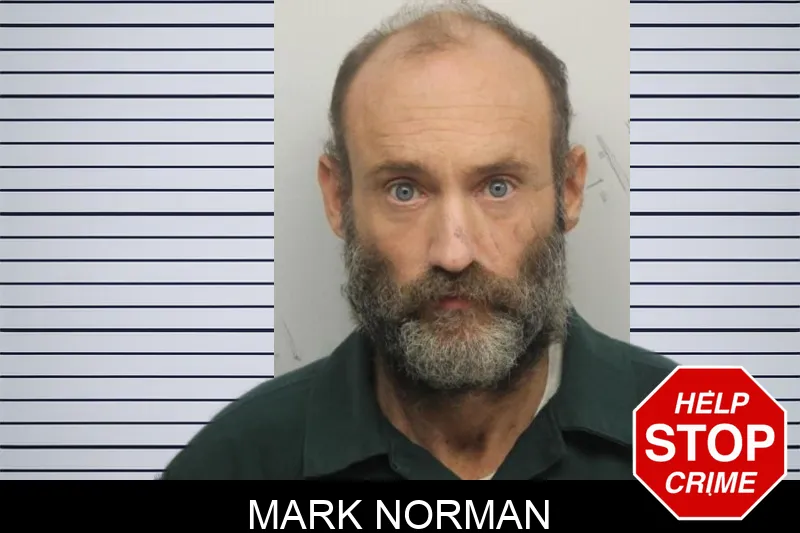 Mark Norman mugshot