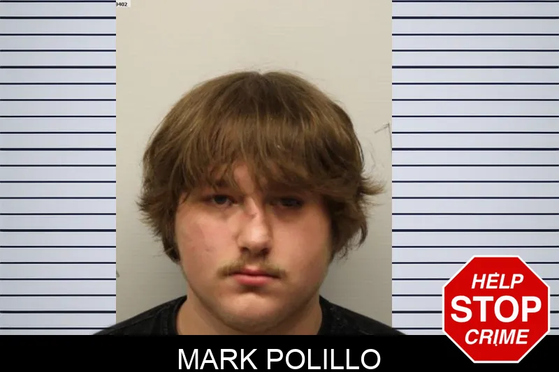 Mark Polillo mugshot – Chatham County , Georgia Mark Polillo mugshot