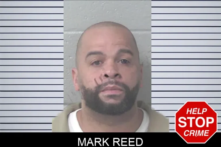 Mark Reed