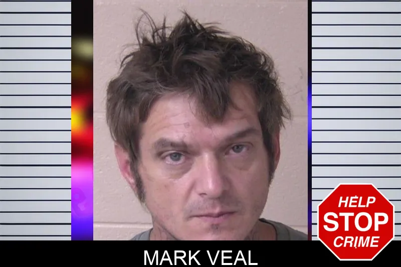 Mark Veal Mugshots
