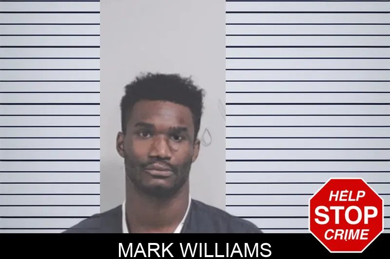 Mark Williams mugshot