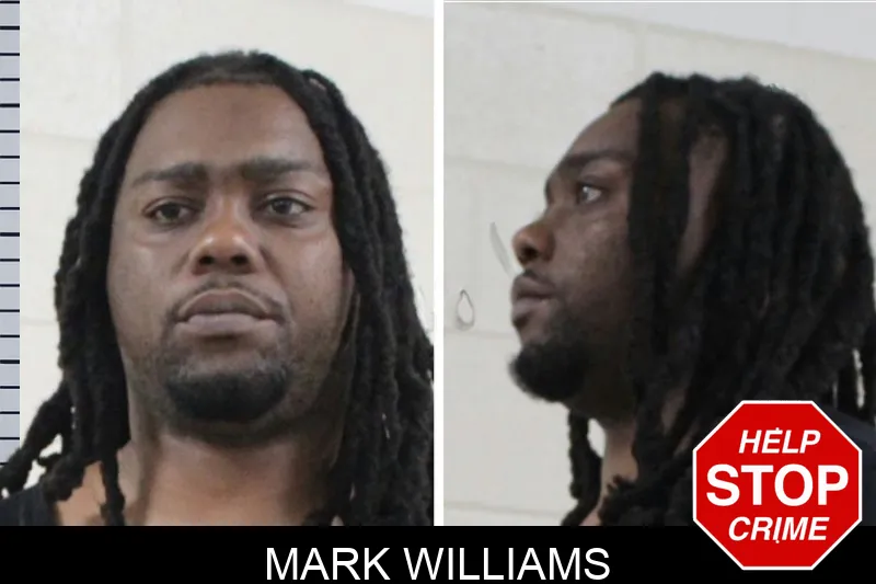 Mark Williams mugshot