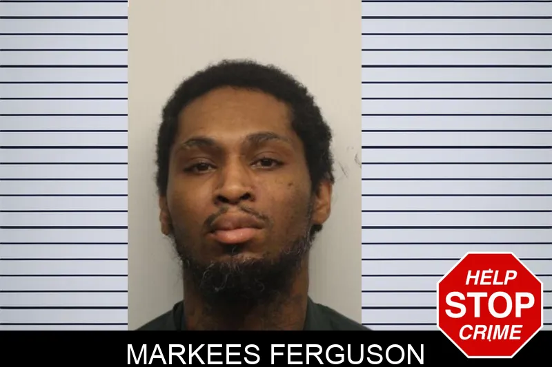 Markees Ferguson mugshot – Chatham County , Georgia Markees Ferguson mugshot