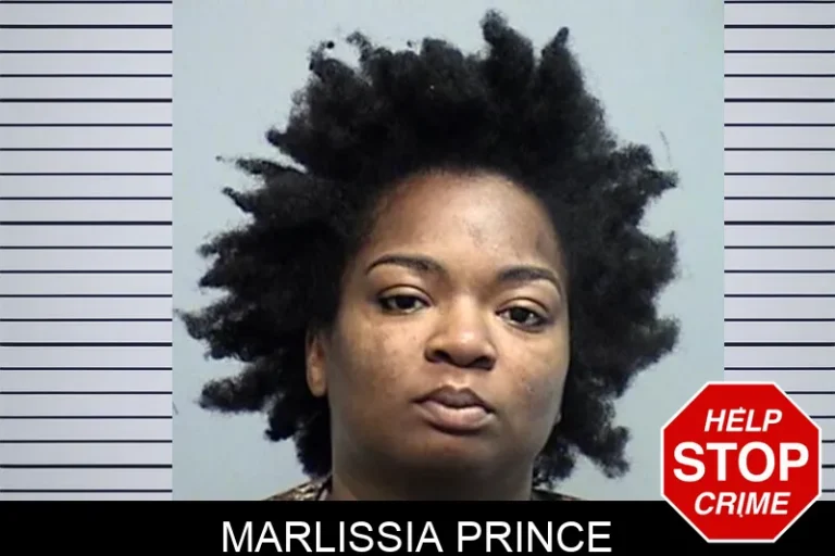 Marlissia Prince mugshot – Effingham County , Georgia Marlissia Prince