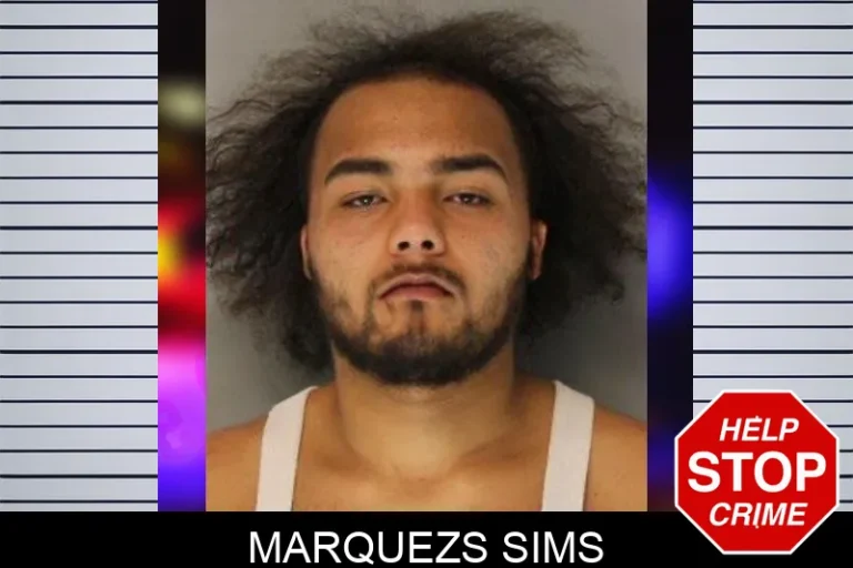 Marquezs Sims mugshot – Hall County , Georgia Marquezs Sims