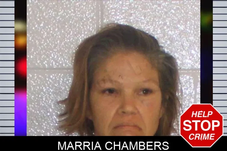 Marria Chambers