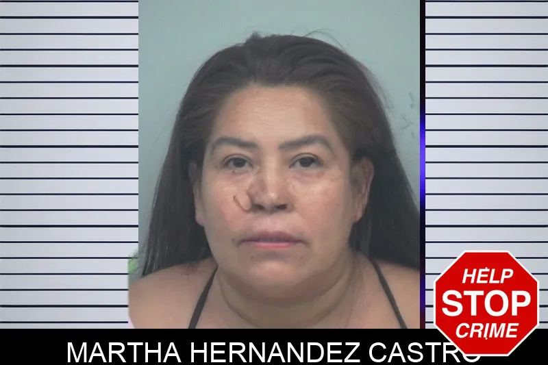 Martha Hernandez Castro mugshot – Gwinnett County , Georgia Martha Hernandez Castro mugshot