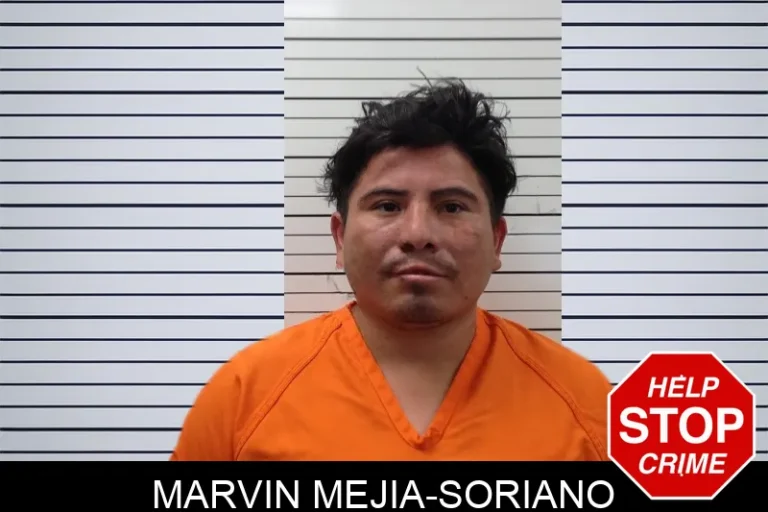 Marvin Mejia-Soriano mugshot – Pickens County , Georgia Marvin Mejia-Soriano