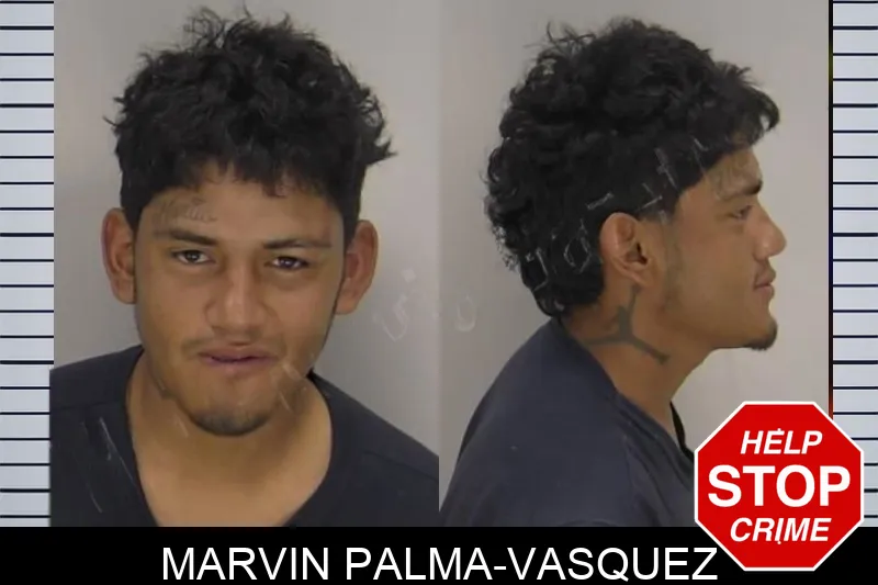 Marvin Palma-Vasquez mugshot