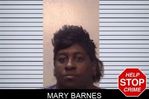 Mary Barnes mugshot