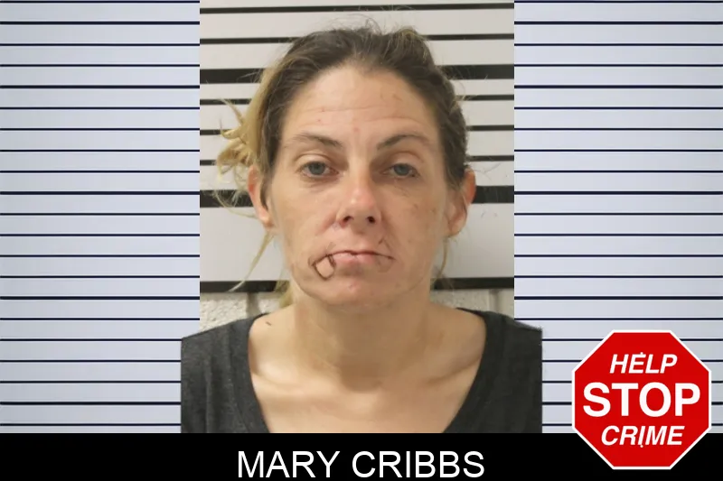 Mary Cribbs
