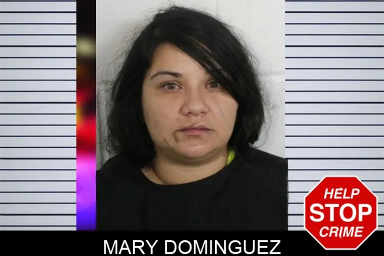 Mary Dominguez mugshot – Floyd County , Georgia Mary Dominguez