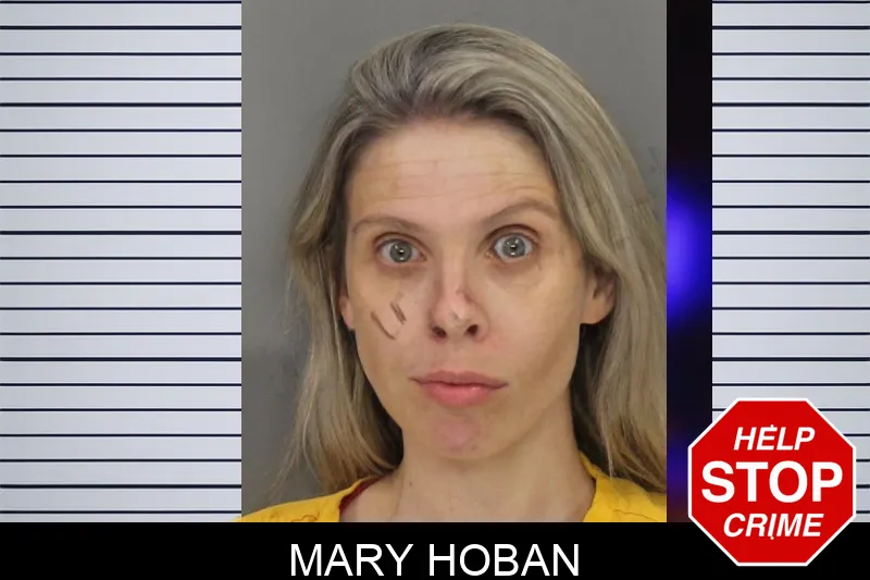 Mary Hoban mugshot – Cobb County , Georgia Mary Hoban mugshot