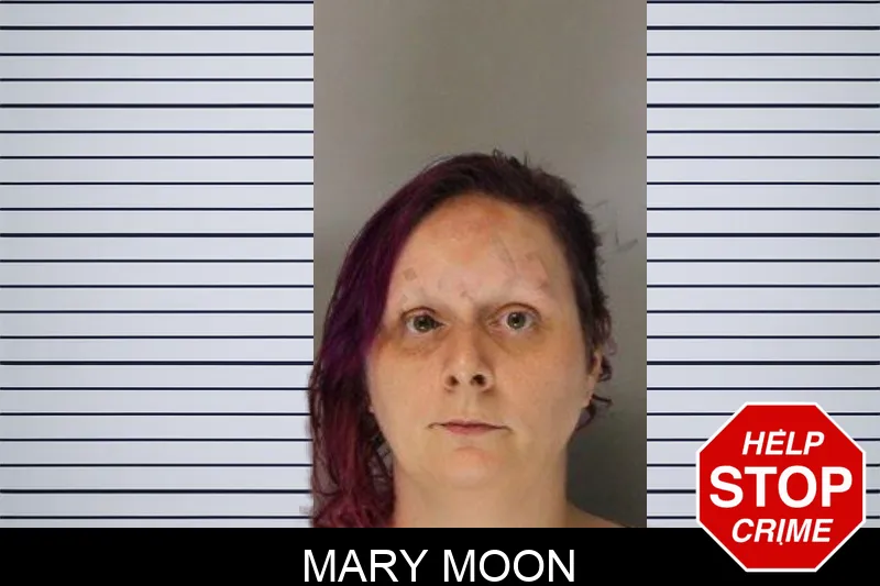 Mary Moon mugshot – Hall County , Georgia Mary Moon mugshot