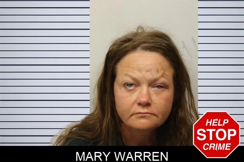 Mary Warren mugshot – Chatham County , Georgia Mary Warren mugshot