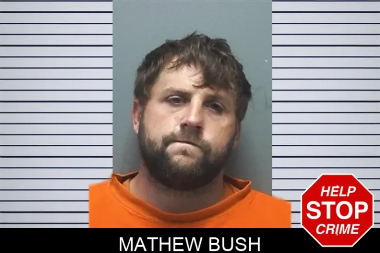 Mathew Bush