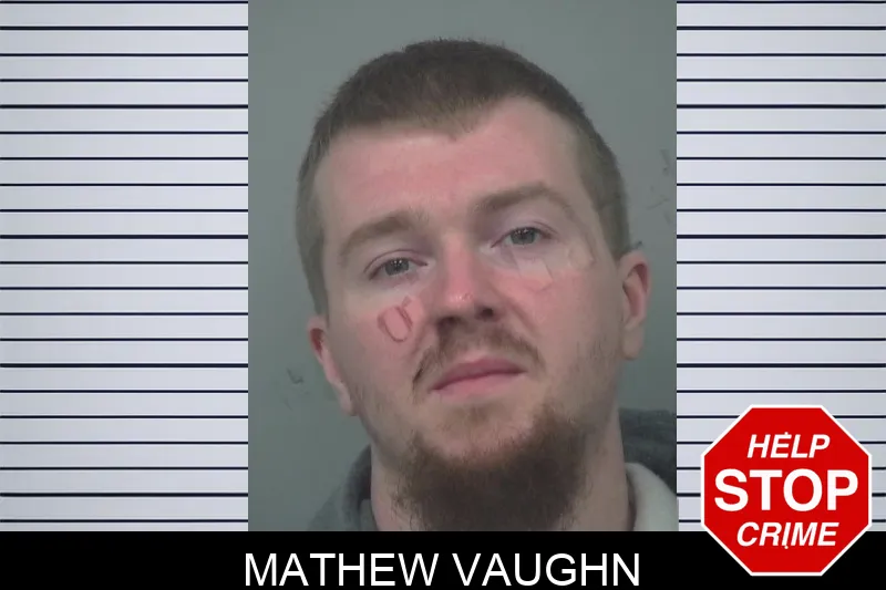 Mathew Vaughn mugshot – Gwinnett County , Georgia Mathew Vaughn mugshot