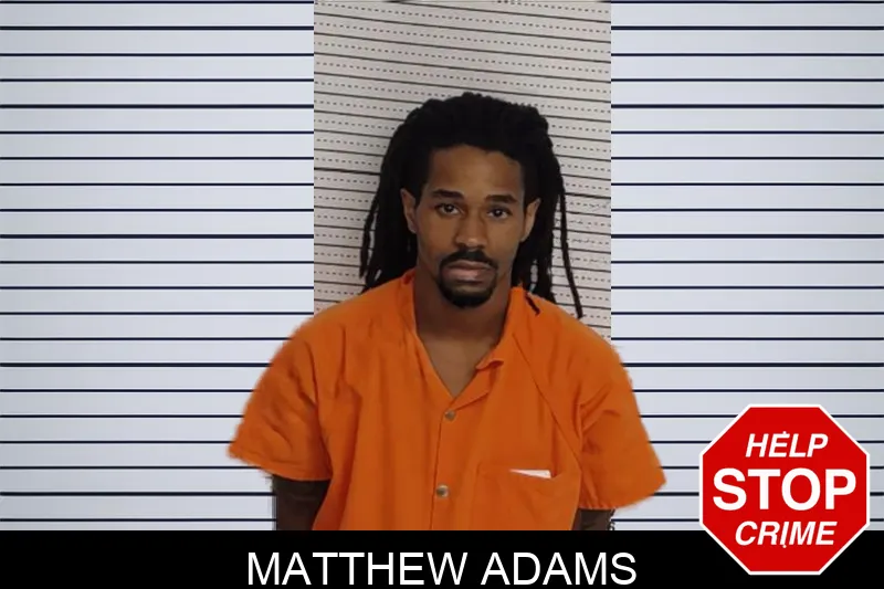Matthew Adams