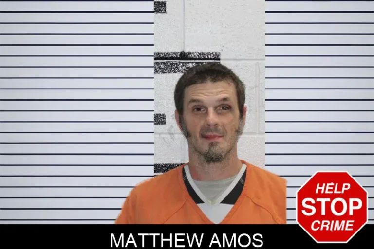 Matthew Amos