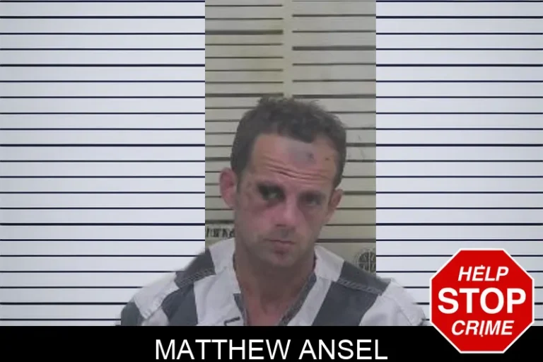 Matthew Ansel mugshot – Coffee County , Georgia Matthew Ansel