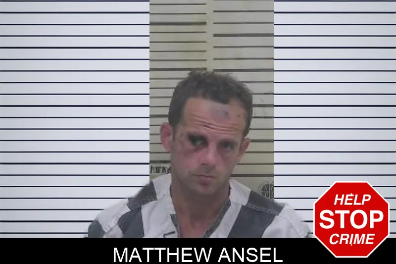 Matthew Ansel mugshot