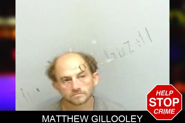 Matthew Gillooley