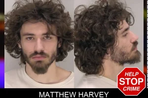 Matthew Harvey mugshot