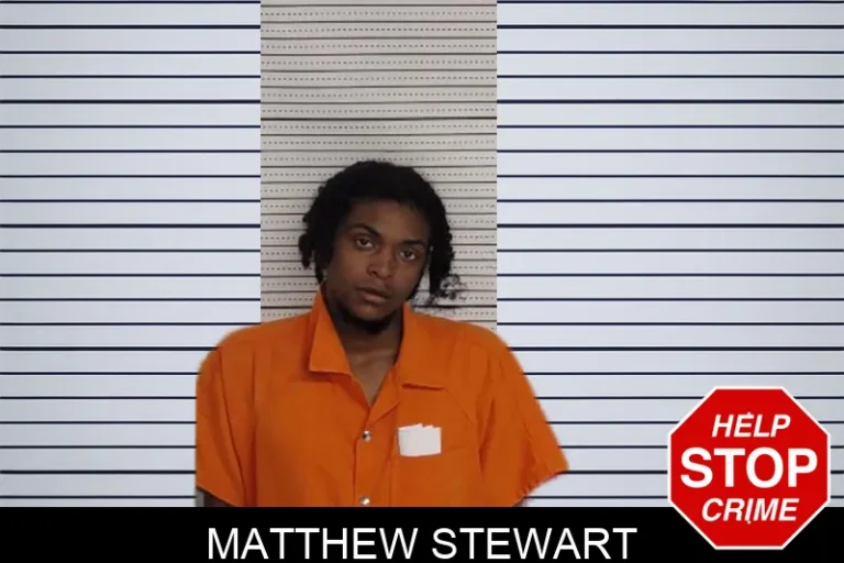 Matthew Stewart