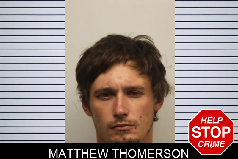 Matthew Thomerson mugshot – Chatham County , Georgia Matthew Thomerson mugshot