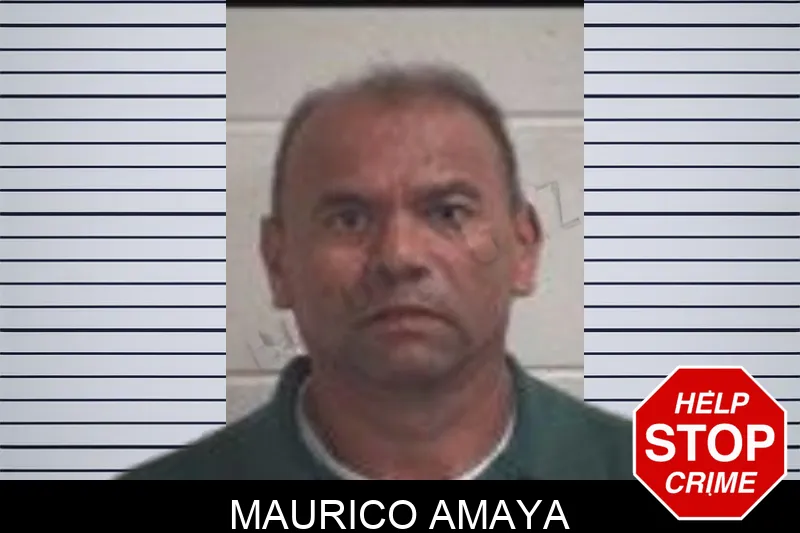 Maurico Amaya Mugshots