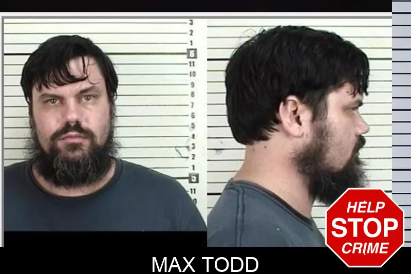 Max Todd