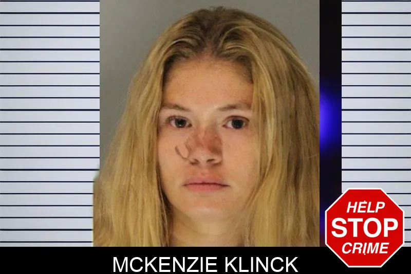 McKenzie Klinck mugshot – Hall County , Georgia McKenzie Klinck mugshot