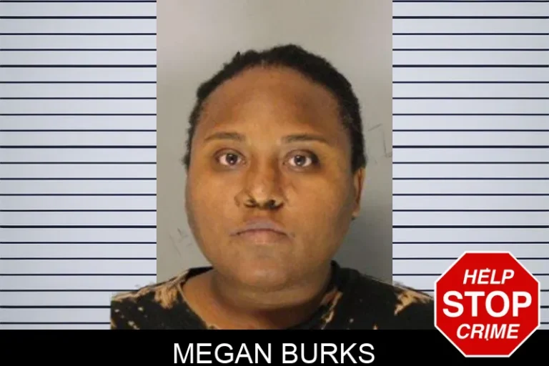 Megan Burks mugshot – Hall County , Georgia Megan Burks