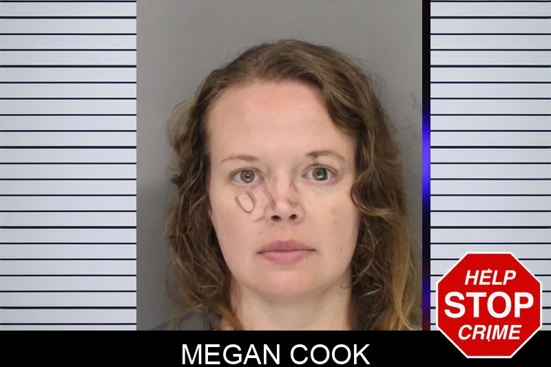 Megan Cook mugshot