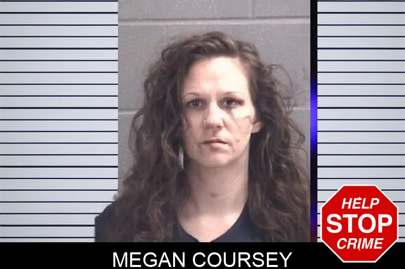 Megan Coursey mugshot – Spalding County , Georgia Megan Coursey mugshot