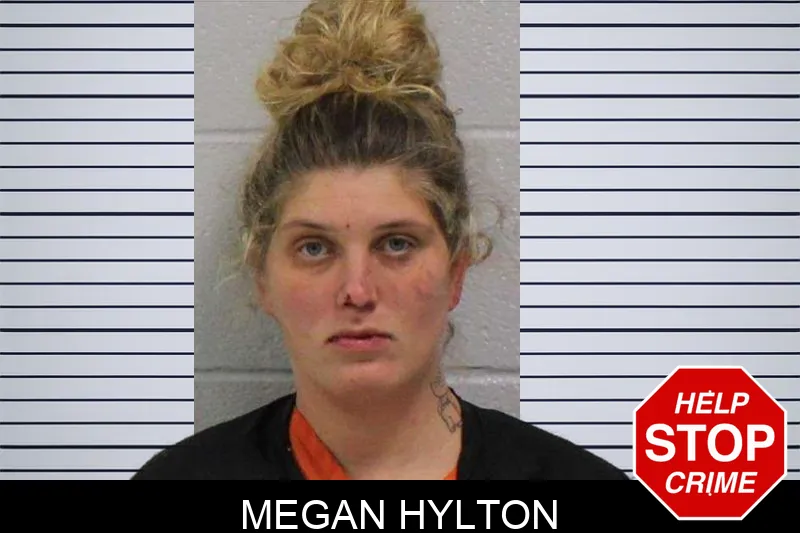 Megan Hylton Mugshots